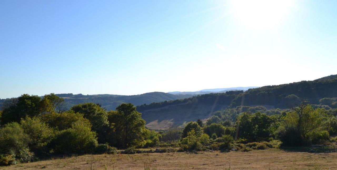Les Cabanes Des Fontaines Saint-Sernin-du-Bois Dış mekan fotoğraf